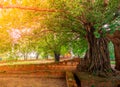 Wat Pra-ngam Temple of historical Ayutthaya Thailand, Thai name is Pratoo kan wela or Time Gate at sunset time