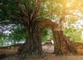 Wat Pra-ngam Temple of historical Ayutthaya Thailand, Thai name is Pratoo kan wela or Time Gate at sunset time