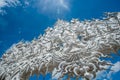 Wat Rong Khun in Chiangrai province, Thailand