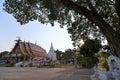 Wat Suan Tan- a Buddhist temple in Nan, Thailand, with image of Seated Buddha under large Bodhi tree