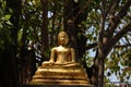 Local Art. Golden Buddha With Bodhi Leaves