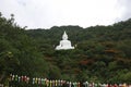 The Wat Thep Phithak Punnaram is famous in thailand