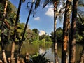 Wat Umong-lake in Chiang Mai