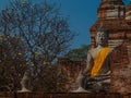 Wat Yai Chaimongkol Ayutthaya ,Thailand.
