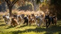 The playful and energetic movements of a pack of dogs at play chasing each other and frolicking in created with Generative AI