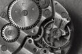 Watch mechanism macro Royalty Free Stock Photo