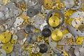 Watch parts in silver golden colors. Small pieces of gears to make charm or DIY jewelry project Royalty Free Stock Photo