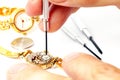 Watch Repair Royalty Free Stock Photo