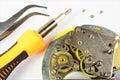 Watch repair. Analysis, verification and debugging