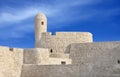 Watch tower at the south corner of Bahrain fort