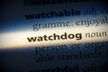 Watchdog Royalty Free Stock Photo