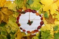 Watches leaves on a white wooden background