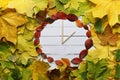 Watches leaves on a white wooden background