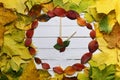 Watches leaves on a white wooden background