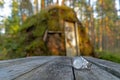 Watches Tissot on a wooden table in the forest