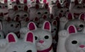 Watchful multitude of maneki-neko