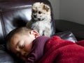 Watchful Puppy and Boy Royalty Free Stock Photo