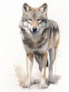 Watchful Wolf in Watercolor AI Generated