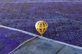 Yellow hot air balloon flying over a field of Lavender. Royalty Free Stock Photo