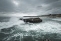 Watching the waves on Four Mile Beach near Davenport California Royalty Free Stock Photo