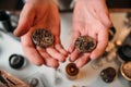 Watchmaker hands with clockwork mechanism closeup Royalty Free Stock Photo