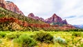 The Watchman and Cliffs of Bridge Mountain viewed from the Pa`rus Trail in Zion National Park, Utah Royalty Free Stock Photo