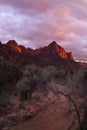 Watchman Mountain at Sunset Royalty Free Stock Photo