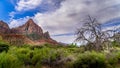 The Watchman mountain viewed from the Pa`rus Trail in Zion national Park, Utah Royalty Free Stock Photo