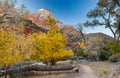 The watchman trail, Zion National Park, Utah Royalty Free Stock Photo