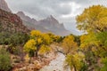 Watchman and Virgin River in fall Royalty Free Stock Photo