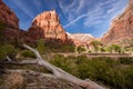 The Watchman and Virgin River, Zion National Park, Utah Royalty Free Stock Photo