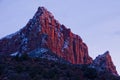 The Watchman-Zion National Park Royalty Free Stock Photo