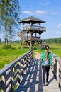 Watchtower in Bialowieza forest, Poland Royalty Free Stock Photo