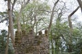 Watchtower Of The Castle Of The Moors, Medieval Castle Of XII Century With Views To The Sea In Sintra. Nature, architecture,