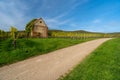 Watchtower in a vineyard plantation with green grass below the blue sky Royalty Free Stock Photo