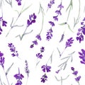 Watecolor lavender delicate seamless pattern on white background