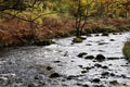 Watendlath Beck; Royalty Free Stock Photo