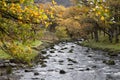 Watendlath Beck; Lake District; Royalty Free Stock Photo