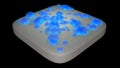 Water absorbent material soaks up liquid , water drops , puddle. View 4. 3d render