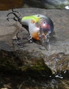 Water all around a bright artificial fishing bait Royalty Free Stock Photo
