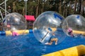 Water or Aquazorbing. Children play inside the inflatable transparent ball floating in swimming pool. Water walking or zorbing Royalty Free Stock Photo