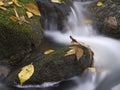 Water autumn flow with leafs Royalty Free Stock Photo