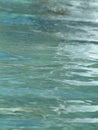 Water background