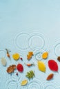 Water background with ripples and drops and colored fallen leaves