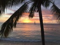 A Barbados, Caribbean island scene