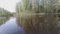 Water beetles whirl on surface of quiet forest river.