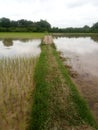 Water Best senary Village street