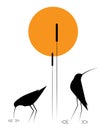 Birds silhouettes and bamboo on sunset, vector. Water birds, illustration. Minimalist art design. Poster design, minimalism Royalty Free Stock Photo