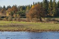 Water birds resting on a lake Tualatin wildilife refuge