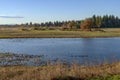 Water birds resting on a lake Tualatin wildilife refuge